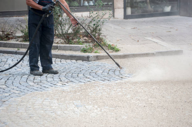 Trusted Whitesboro, AL Pressure Washing Services Experts